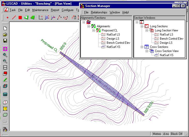 The Initial Plan Data with Section Manager showing Initial Section name