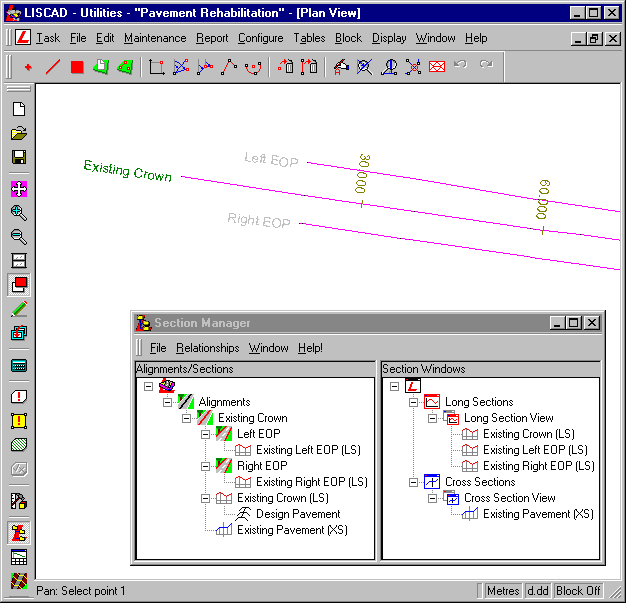 Plan View showing Initial Data