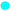 Cyan dot